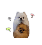 ここりりのすたんぷ（個別スタンプ：8）