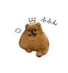 ここりりのすたんぷ（個別スタンプ：10）