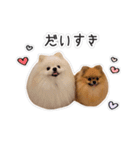 ここりりのすたんぷ（個別スタンプ：11）