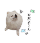ここりりのすたんぷ（個別スタンプ：13）