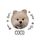 ここりりのすたんぷ（個別スタンプ：15）