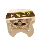 臆病者のツンデレらいくん2（個別スタンプ：1）