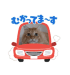 臆病者のツンデレらいくん2（個別スタンプ：6）
