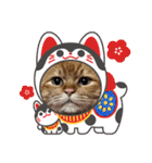 臆病者のツンデレらいくん2（個別スタンプ：9）