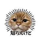 臆病者のツンデレらいくん2（個別スタンプ：10）