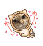 臆病者のツンデレらいくん2（個別スタンプ：17）