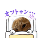 臆病者のツンデレらいくん2（個別スタンプ：28）