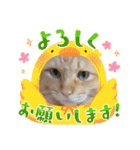 臆病者のツンデレらいくん2（個別スタンプ：32）