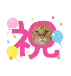 臆病者のツンデレらいくん2（個別スタンプ：35）