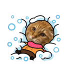 臆病者のツンデレらいくん2（個別スタンプ：37）