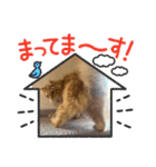 臆病者のツンデレらいくん2（個別スタンプ：40）