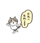 そばかす猫のつぐみ（個別スタンプ：20）