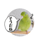 マメルリハ達9（個別スタンプ：5）