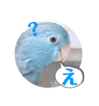 マメルリハ達9（個別スタンプ：10）