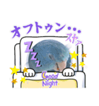 マメルリハ達9（個別スタンプ：18）