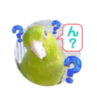 マメルリハ達9（個別スタンプ：21）