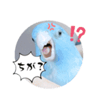 マメルリハ達9（個別スタンプ：23）