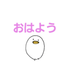白いひよこのスタンプ（個別スタンプ：1）