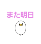 白いひよこのスタンプ（個別スタンプ：11）