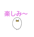 白いひよこのスタンプ（個別スタンプ：12）