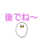 白いひよこのスタンプ（個別スタンプ：13）