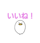 白いひよこのスタンプ（個別スタンプ：15）