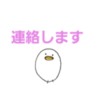 白いひよこのスタンプ（個別スタンプ：16）