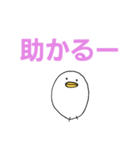 白いひよこのスタンプ（個別スタンプ：21）