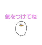 白いひよこのスタンプ（個別スタンプ：23）