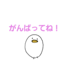 白いひよこのスタンプ（個別スタンプ：24）