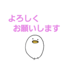 白いひよこのスタンプ（個別スタンプ：26）