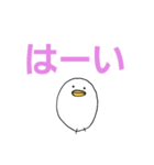 白いひよこのスタンプ（個別スタンプ：27）