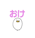 白いひよこのスタンプ（個別スタンプ：34）