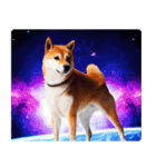 宇宙の中の柴犬（個別スタンプ：10）