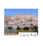 風景写真でご挨拶(日本語と繁体字)（個別スタンプ：1）