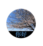 風景写真でご挨拶(日本語と繁体字)（個別スタンプ：2）