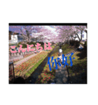 風景写真でご挨拶(日本語と繁体字)（個別スタンプ：3）