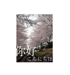 風景写真でご挨拶(日本語と繁体字)（個別スタンプ：4）