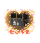 にゃんこにゃんにゃんこ12（個別スタンプ：5）