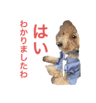 夜叉丸③（個別スタンプ：3）
