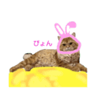 レオくんスタンプ！七夕バージョン（個別スタンプ：1）