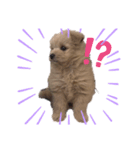 ラガのまいにち꒰ ՞•ﻌ•՞ ꒱（個別スタンプ：3）