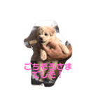 ラガのまいにち꒰ ՞•ﻌ•՞ ꒱（個別スタンプ：6）