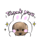 ラガのまいにち꒰ ՞•ﻌ•՞ ꒱（個別スタンプ：8）
