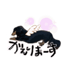 Mダックス らんくんとうるちゃん（個別スタンプ：32）