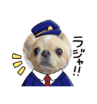 とらとらとらまるこ（個別スタンプ：1）