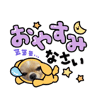 とらとらとらまるこ（個別スタンプ：4）