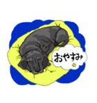 黒スケ達の日常（個別スタンプ：8）