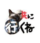 9393STAMP（個別スタンプ：5）