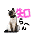 9393STAMP（個別スタンプ：9）